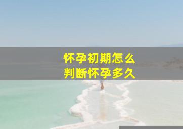 怀孕初期怎么判断怀孕多久