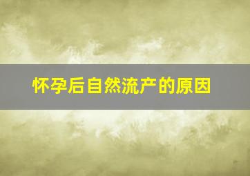 怀孕后自然流产的原因