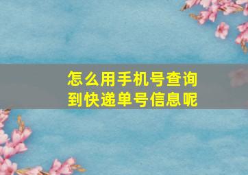 怎么用手机号查询到快递单号信息呢