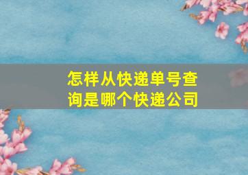 怎样从快递单号查询是哪个快递公司