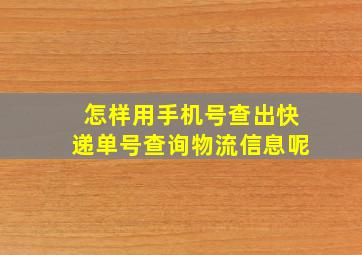 怎样用手机号查出快递单号查询物流信息呢