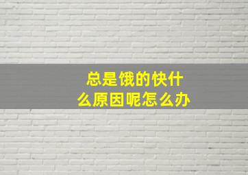 总是饿的快什么原因呢怎么办