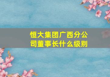 恒大集团广西分公司董事长什么级别