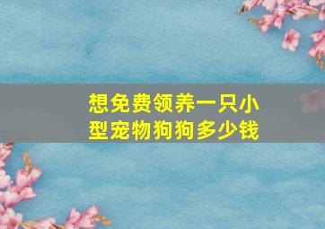 想免费领养一只小型宠物狗狗多少钱