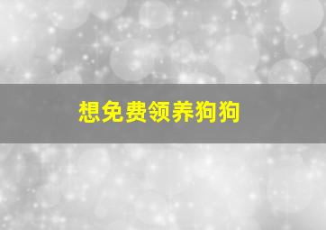 想免费领养狗狗