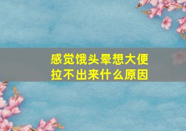 感觉饿头晕想大便拉不出来什么原因