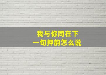 我与你同在下一句押韵怎么说