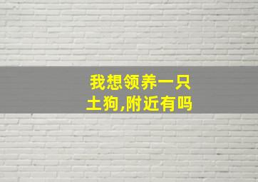 我想领养一只土狗,附近有吗