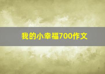 我的小幸福700作文