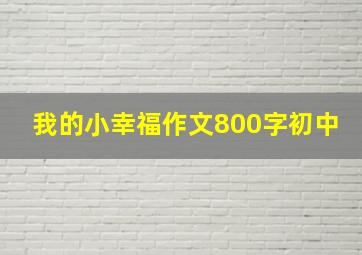 我的小幸福作文800字初中