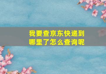 我要查京东快递到哪里了怎么查询呢