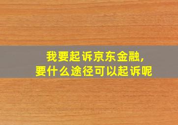 我要起诉京东金融,要什么途径可以起诉呢