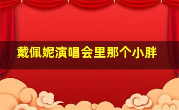 戴佩妮演唱会里那个小胖