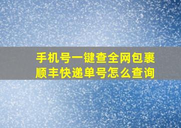 手机号一键查全网包裹顺丰快递单号怎么查询