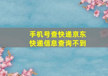 手机号查快递京东快递信息查询不到