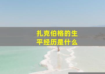 扎克伯格的生平经历是什么