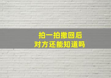 拍一拍撤回后对方还能知道吗