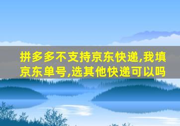 拼多多不支持京东快递,我填京东单号,选其他快递可以吗