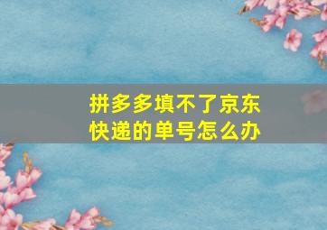 拼多多填不了京东快递的单号怎么办