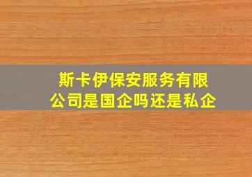 斯卡伊保安服务有限公司是国企吗还是私企