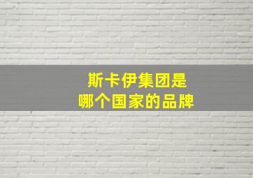 斯卡伊集团是哪个国家的品牌