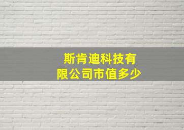 斯肯迪科技有限公司市值多少