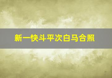 新一快斗平次白马合照