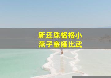 新还珠格格小燕子塞娅比武