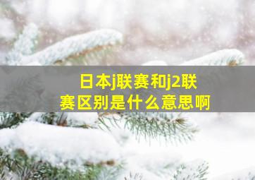 日本j联赛和j2联赛区别是什么意思啊