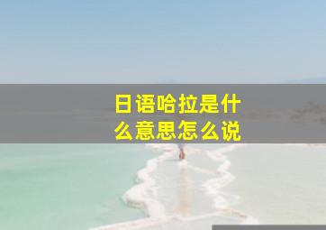 日语哈拉是什么意思怎么说