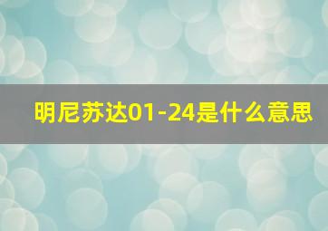 明尼苏达01-24是什么意思