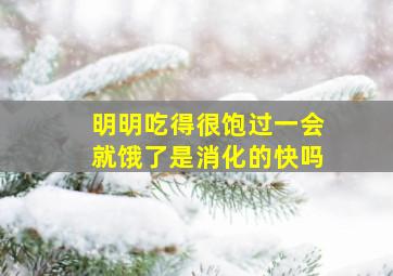 明明吃得很饱过一会就饿了是消化的快吗