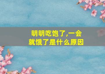 明明吃饱了,一会就饿了是什么原因