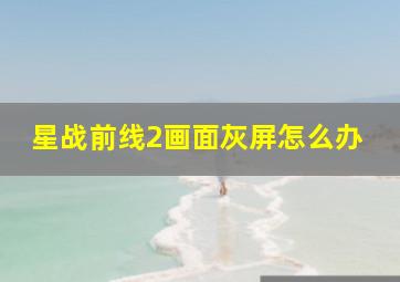 星战前线2画面灰屏怎么办