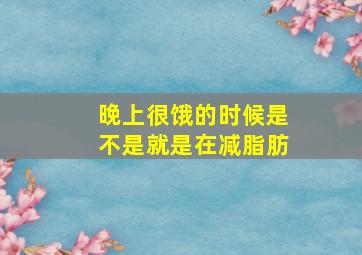 晚上很饿的时候是不是就是在减脂肪