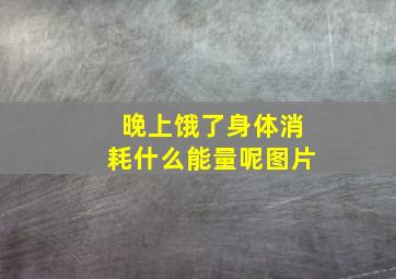 晚上饿了身体消耗什么能量呢图片