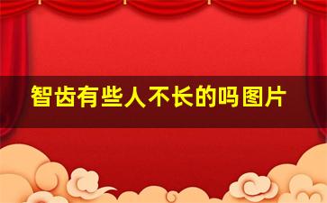 智齿有些人不长的吗图片