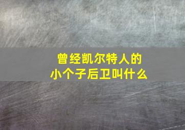 曾经凯尔特人的小个子后卫叫什么