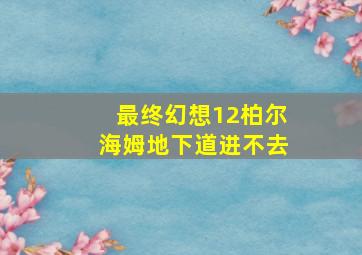 最终幻想12柏尔海姆地下道进不去