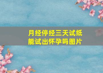 月经停经三天试纸能试出怀孕吗图片