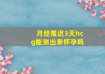 月经推迟3天hcg能测出来怀孕吗