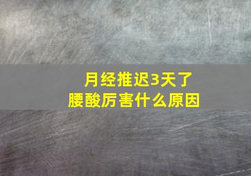 月经推迟3天了腰酸厉害什么原因