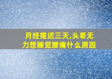 月经推迟三天,头晕无力想睡觉腰痛什么原因