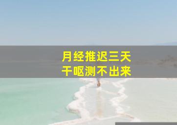 月经推迟三天干呕测不出来