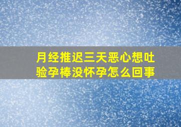 月经推迟三天恶心想吐验孕棒没怀孕怎么回事