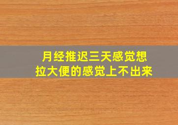 月经推迟三天感觉想拉大便的感觉上不出来