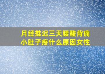 月经推迟三天腰酸背痛小肚子疼什么原因女性