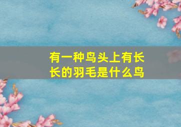 有一种鸟头上有长长的羽毛是什么鸟