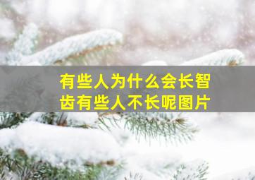 有些人为什么会长智齿有些人不长呢图片