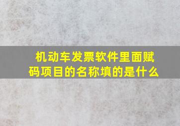 机动车发票软件里面赋码项目的名称填的是什么